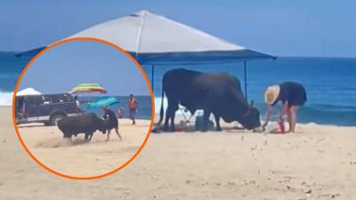 Una mujer, presuntamente extranjera, fue embestida por un toro en la playa La Fortuna, ubicada en Los Cabos, Baja California Sur. El suceso se volvió viral en redes sociales.