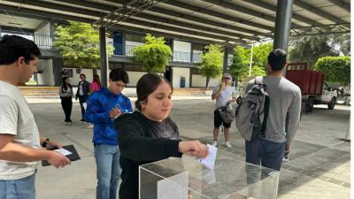 255 mil 707 personas de la comunidad universitaria del País participaron en el Simulacro Electoral Universitario.