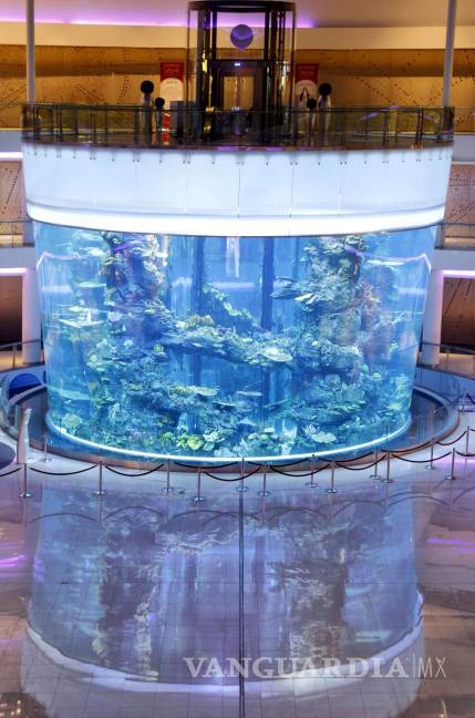 $!AquaDom, el acuario cilíndrico más grande del mundo