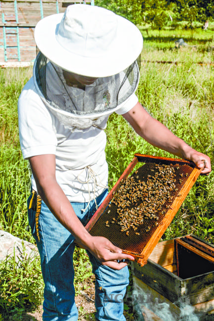 $!Cuida de las abejas y con ellas del Planeta, estudiante de la Narro