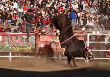 Jueza primera de distrito en materia Administrativa, Minerva Mendoza, concedió amparo a la suspensión provisional a las corridas de toros en la Ciudad de México.