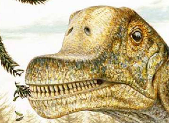 Hallan Nueva Especie De Dinosaurio