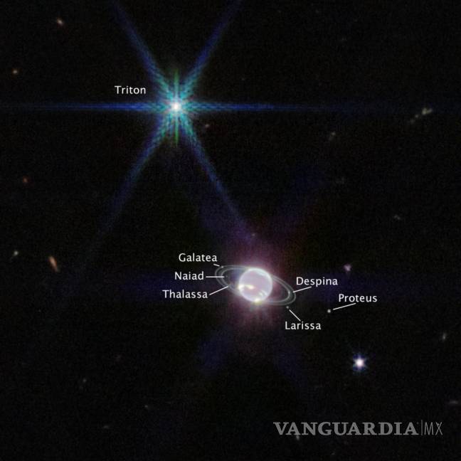 $!Imagen captada por la cámara de infrarroja del Telescopio Espacial James Webb de Neptuno, las lunas visibles del planeta están etiquetadas.