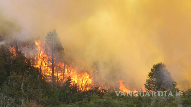 $!Fuego destruye 840 mil hectáreas de campos en Argentina