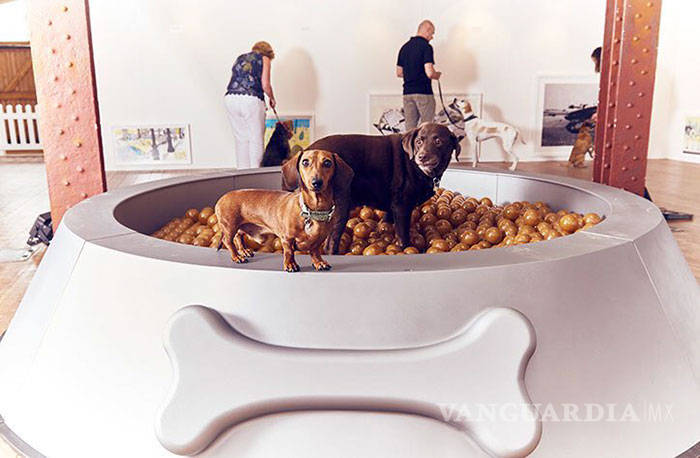 $!Crean en Londres la primera muestra de arte para perros