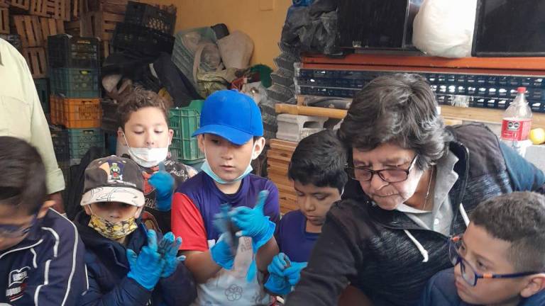 $!Un grupo de niños de la escuela primaria Justo Sierra de Saltillo participó en la elaboración de los pellets dispersados con dron.