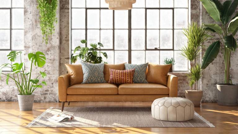 Las plantas si son naturales es mejor, pero debes atenderlas. Si vas a elegir artificiales, hay opciones muy bonitas, pero también debes limpiarlas para que luzcan hermosas. $!Las plantas si son naturales es mejor, pero debes atenderlas. Si vas a elegir artificiales, hay opciones muy bonitas, pero también debes limpiarlas para que luzcan hermosas.