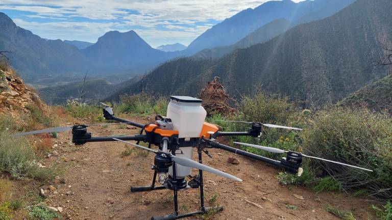 $!El dron agrícola fue fabricado y adaptado para la misión de diseminar las semillas en distintas zonas de la sierra.
