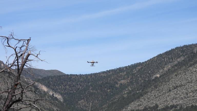 $!El proyecto de reforestación con dron abarcó 45 hectáreas del lado de Coahuila, y la misma cantidad del lado de Nuevo León.