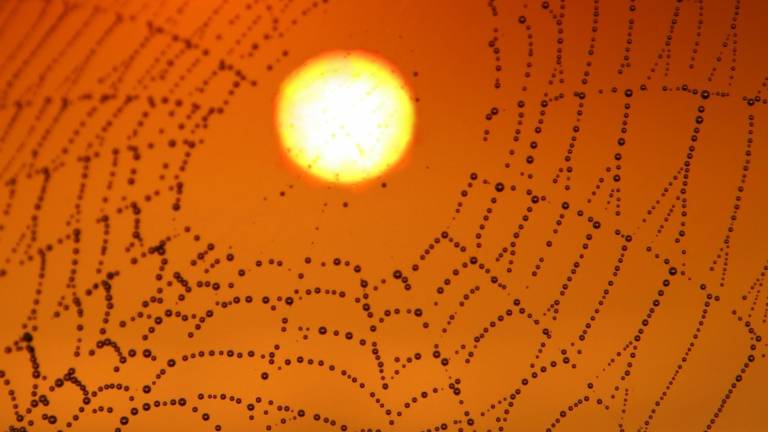 Quizá hubo dos soles en el pasado. EFE/Adina Voicu en Pixabay $!Quizá hubo dos soles en el pasado. EFE/Adina Voicu en Pixabay