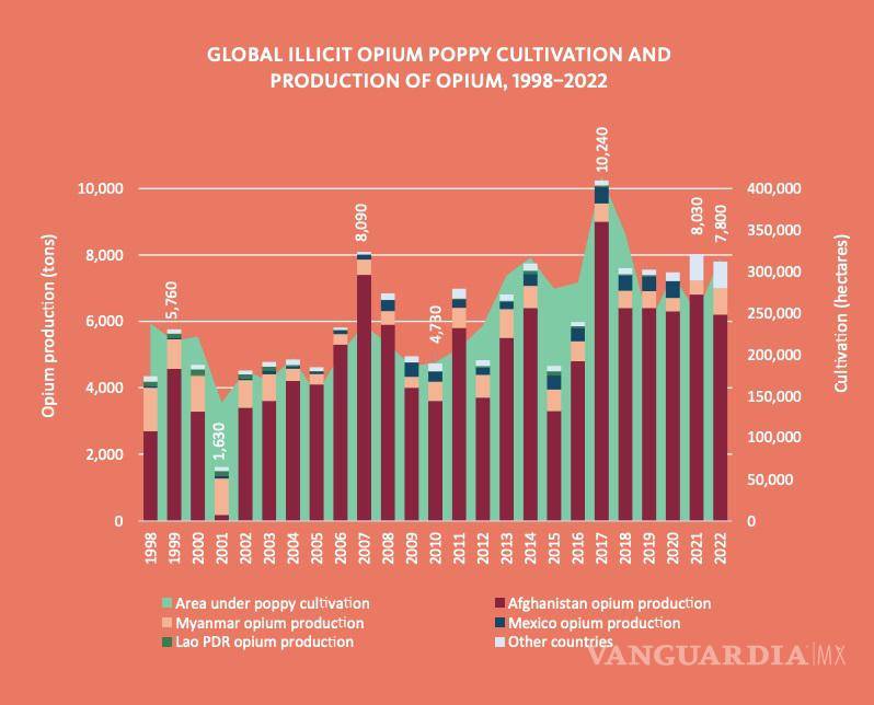 $!México es tercer lugar mundial en producción de opio