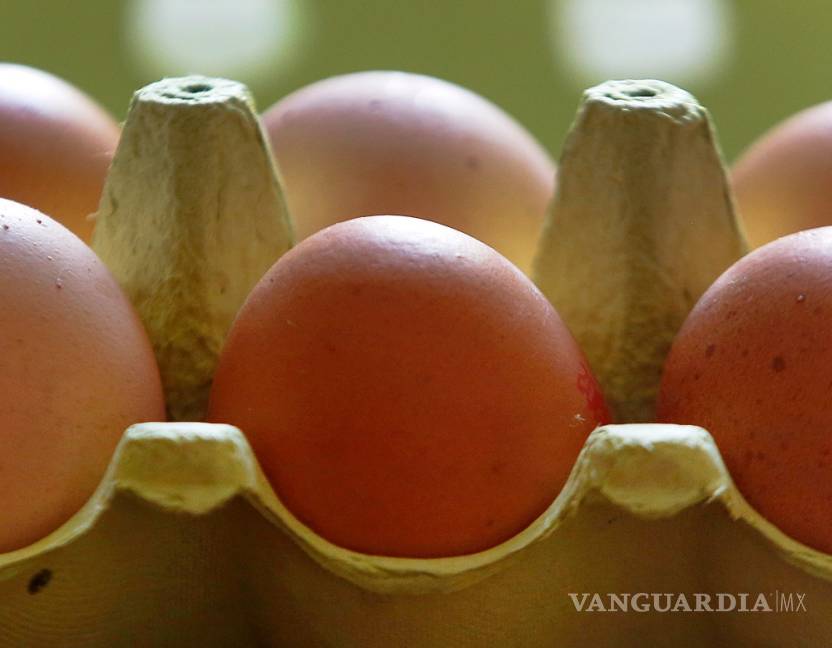 $!Hay 17 países afectados por los huevos contaminados con fipronil