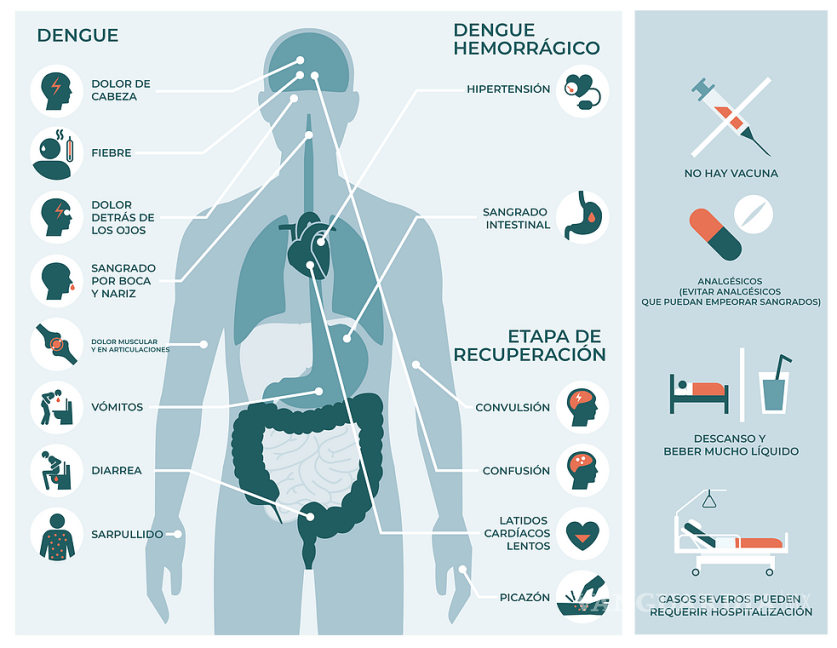 $!Coahuila suma 34 casos de dengue; tres se reportan graves