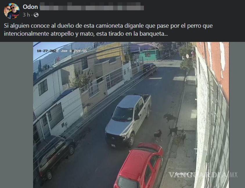 $!Saltillo: vecinos buscan a conductor que atropelló (y mató) intencionalmente a perrito (video)