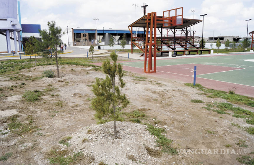 $!Plantan árboles 'al ai se va' en paseo público de Saltillo