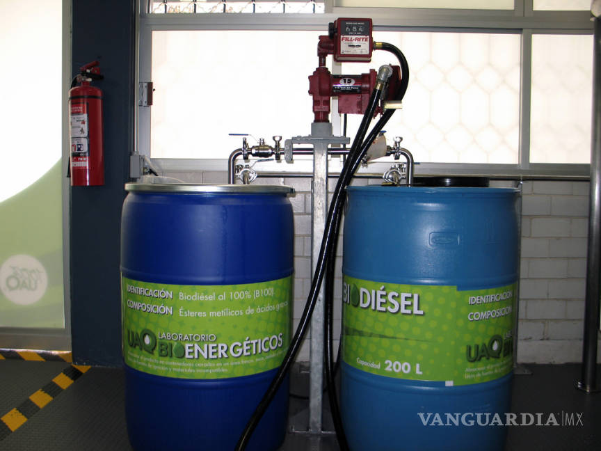 $!Científicos mexicanos logran exitosos resultados en producción de biocombustible