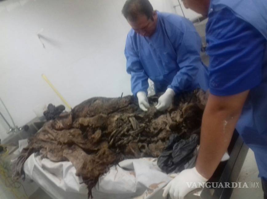 $!Trabajadores de la construcción descubren un “encobijado” en Viesca, Coahuila