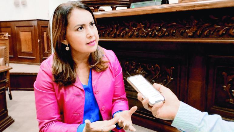 Ley De Gobiernos De Coalici N Dar Certeza Y Transparencia Mayra