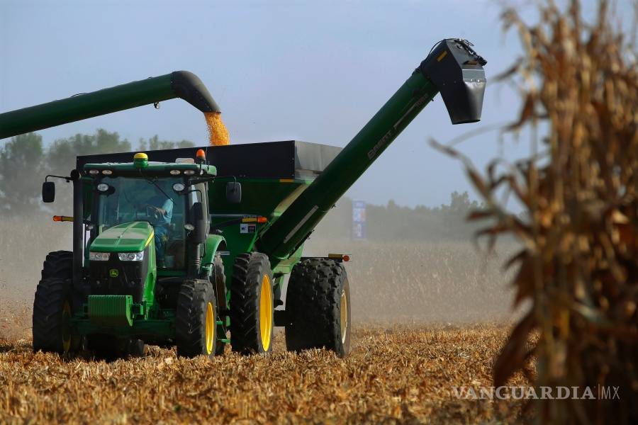 $!Monsanto será juzgado en La Haya, por primera vez por la sociedad civil