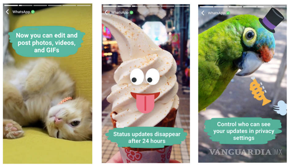 $!WhatsApp le sigue los pasos a Snapchat: Permite compartir contenido efímero