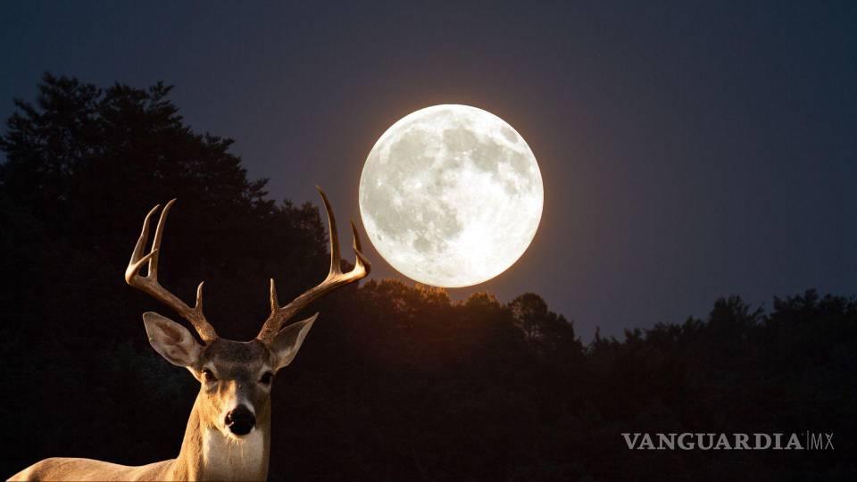 Luna de Ciervo 2024 Qué es y cuándo se verá en México