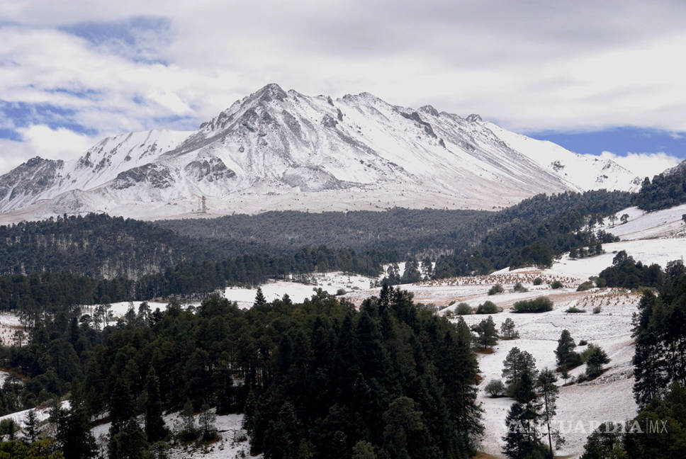 $!Semarnat aprueba la tala comercial de un tercio del bosque del Nevado de Toluca