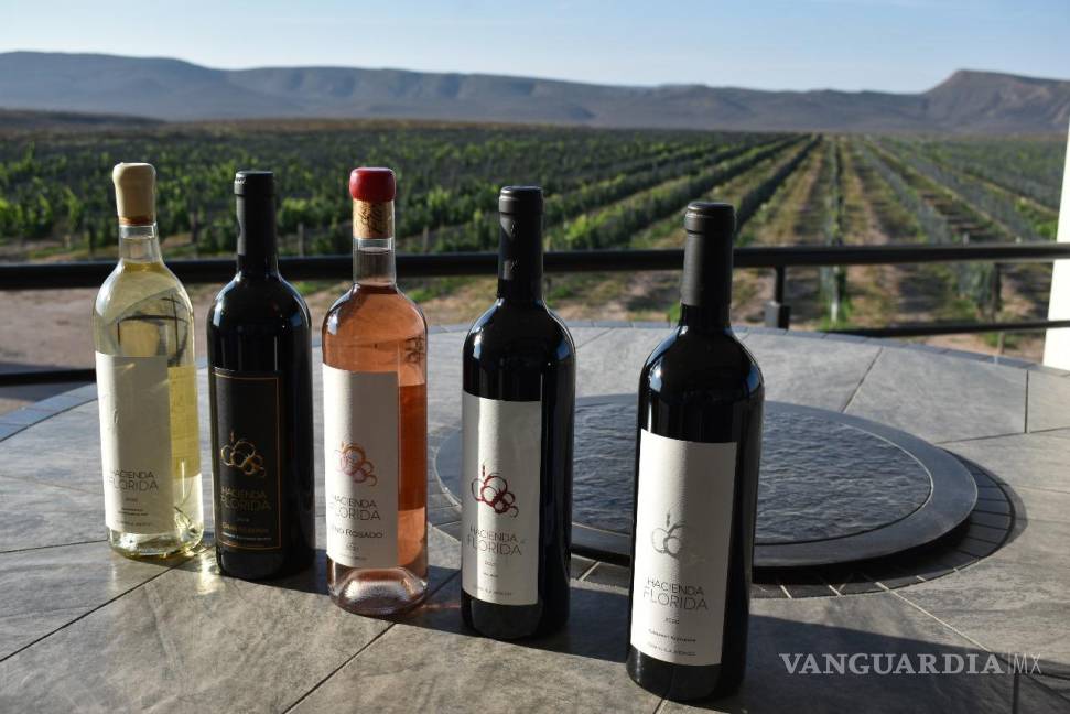 $!La industria del vino es otro de los motores turísticos que Coahuila presumirá en los eventos.