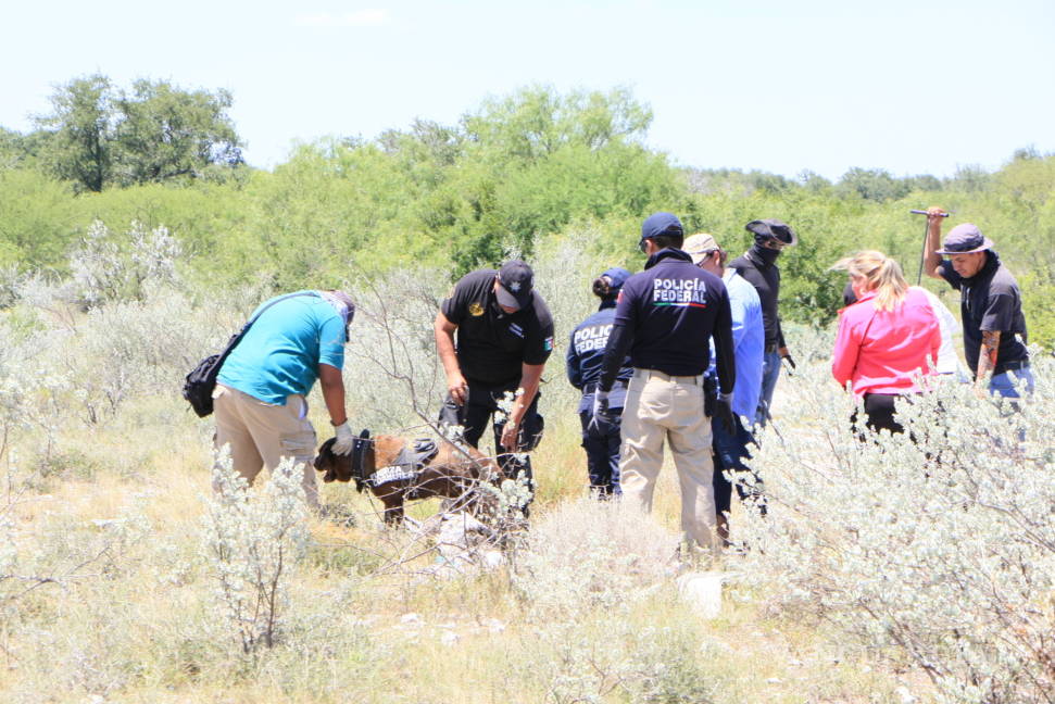 $!Localizan vehículos desmantelados de personas desaparecidas y restos óseos en el norte de Coahuila