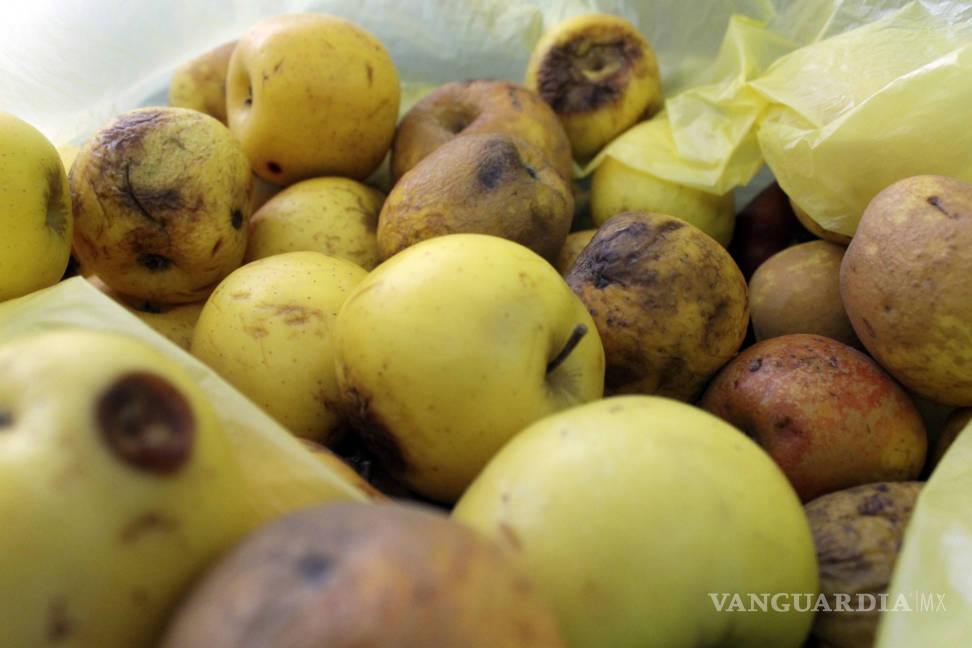 $!'Fruta podrida' para los supermercados; para el Banco de Alimentos de Saltillo, la comida diaria de miles de personas