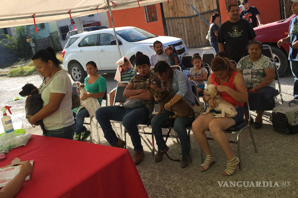 $!Campañas de esterilización de perros y gatos, disminuyen población callejera en Piedras Negras