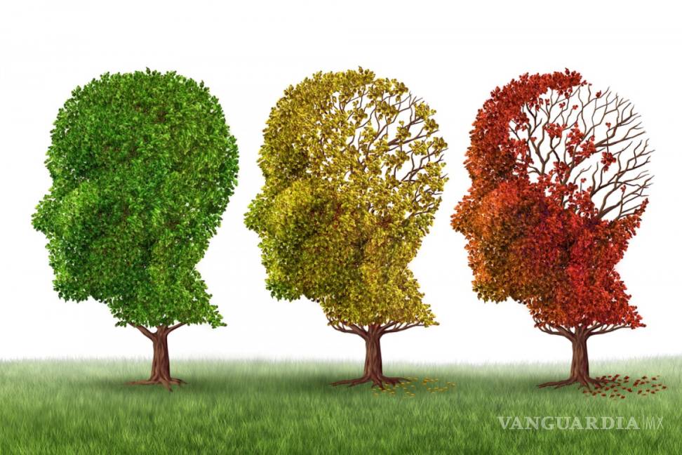 $!Hablar varios idiomas ayuda a prevenir el Alzheimer