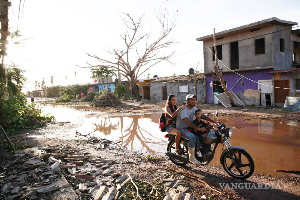 $!‘Patricia’ colapsó la costa de Michoacán; 10 mil hectáreas siniestradas