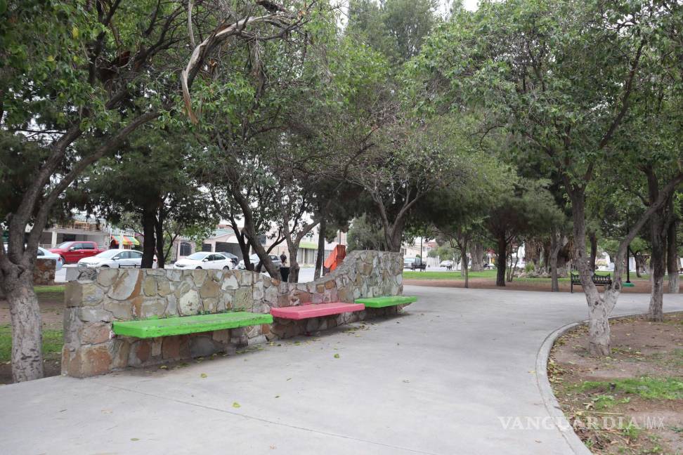 $!La poda, de acuerdo con el Municipio de Saltillo, se realizó con base al procedimiento establecido en Parques y Jardines.