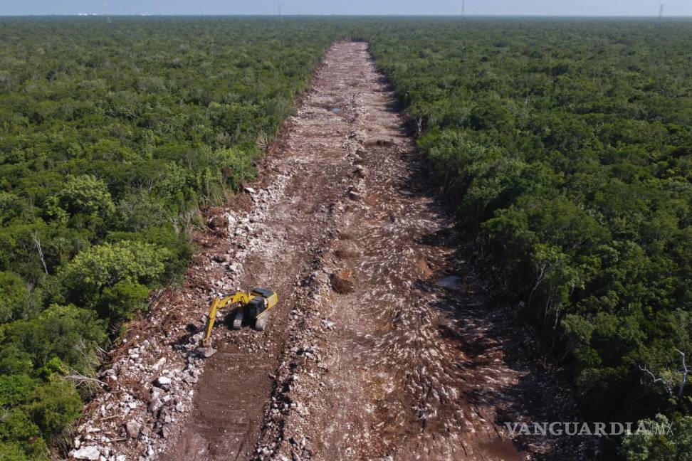 $!Una topadora limpia un área de bosque que será la línea del Tren Maya en Puerto Morelos, estado de Quintana Roo, México.