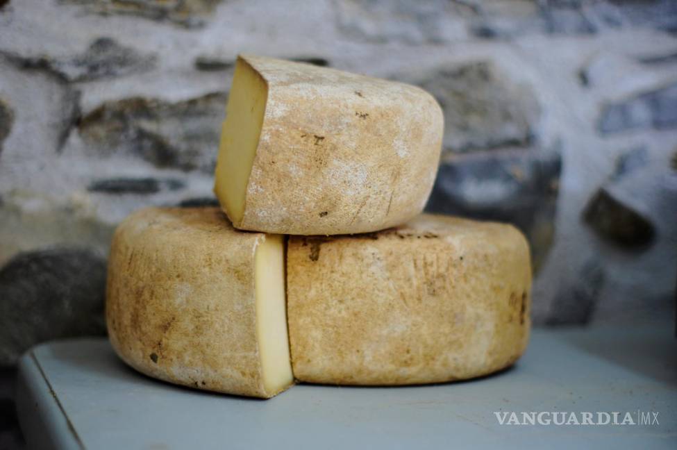 $!Gouda es un tipo de queso que se origina en los Países Bajos y que es perfecto para combinar con uvas.