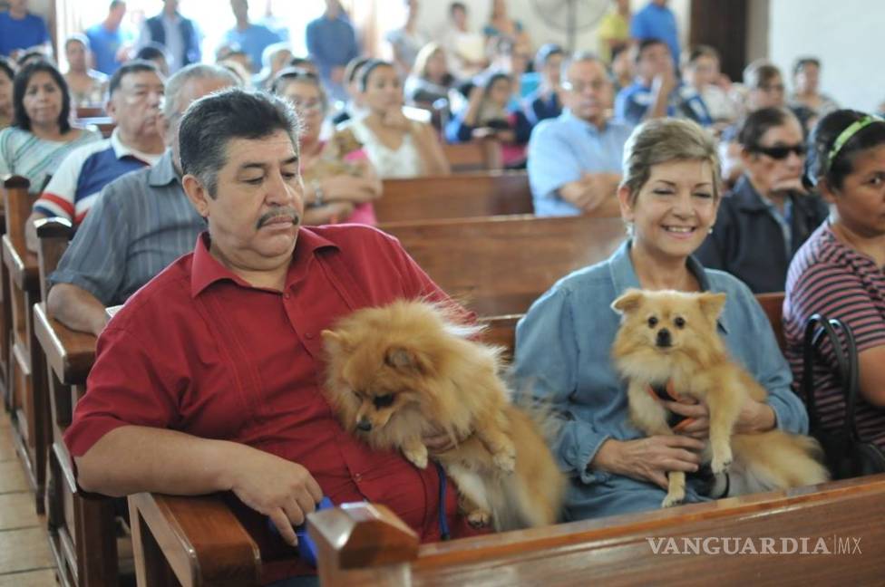 $!Bendicen mascotas en iglesia San Francisco de Asís de Monclova