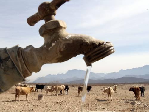 Sufre Coahuila sequía severa y se complica búsqueda de nuevas fuentes: CEAS. Noticias en tiempo real