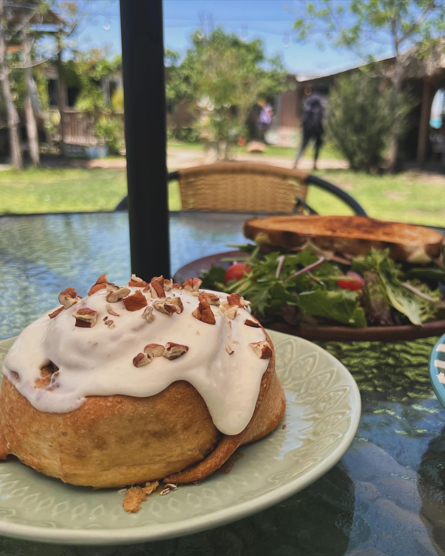 Rústica en el País de las Maravillas. Noticias en tiempo real