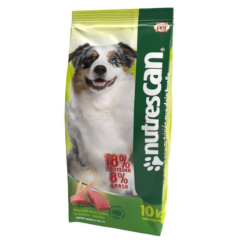 $!¿Pro Plan, Campeón o Dog Chow?... según Profeco, estas son las peores marcas de croquetas y las más dañinas para tu perro