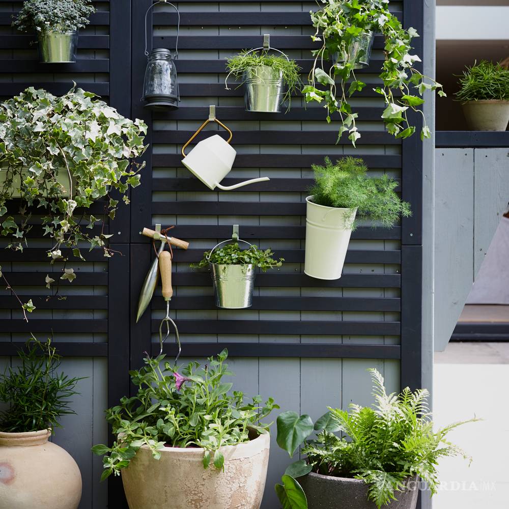 $!¿Te gustaría consumir productos naturales y cuidar el medio ambiente? ¡Haz tu propio huerto en casa!