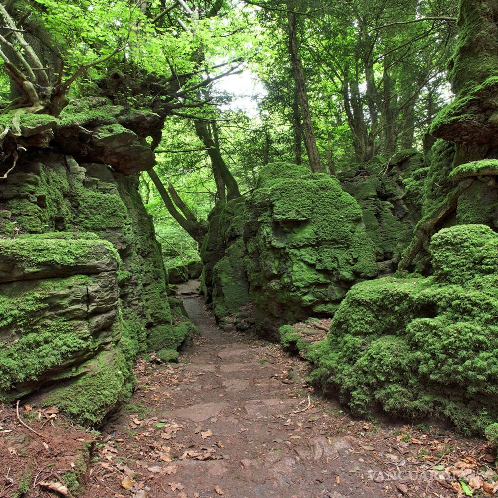 $!Haga un viaje mágico siguiendo los pasos de Harry Potter en Gran Bretaña