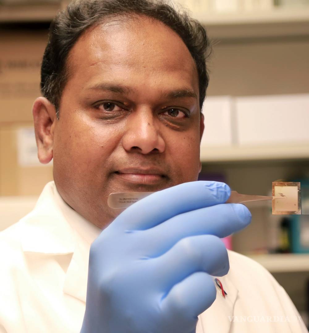 $!Chip regenerativo, revoluciona la medicina