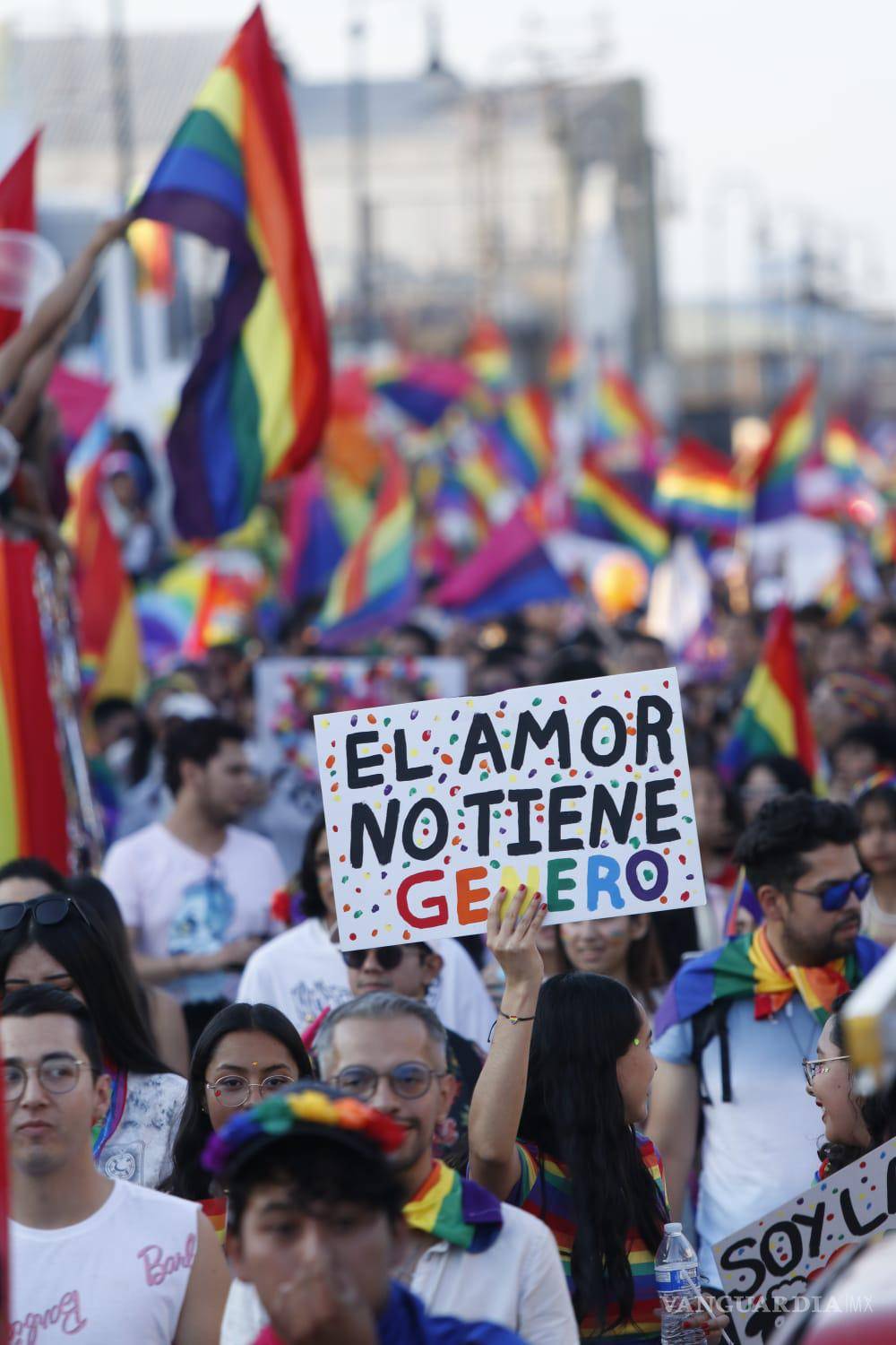 $!“El amor no tiene género” y muchas pancartas más se pueden leer entre la multitud.
