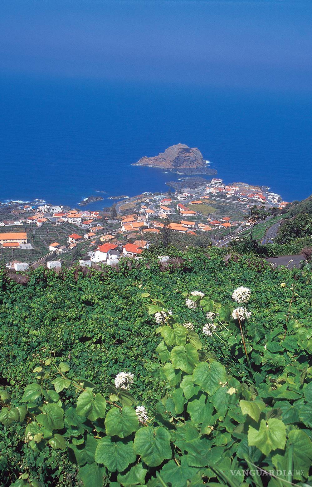 $!Madeira, vino único y añejo a la conquista del mundo
