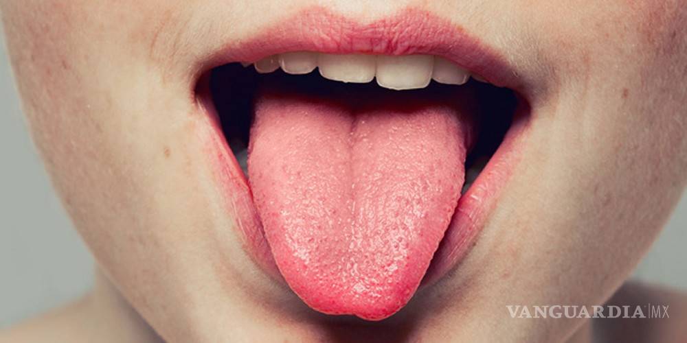 Científicos descubren un “sexto sabor” que podemos detectar