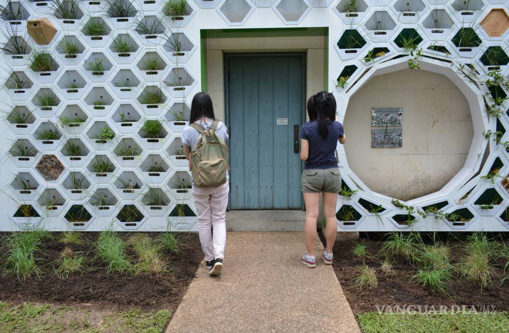 $!Pon a tu casa una piel verde