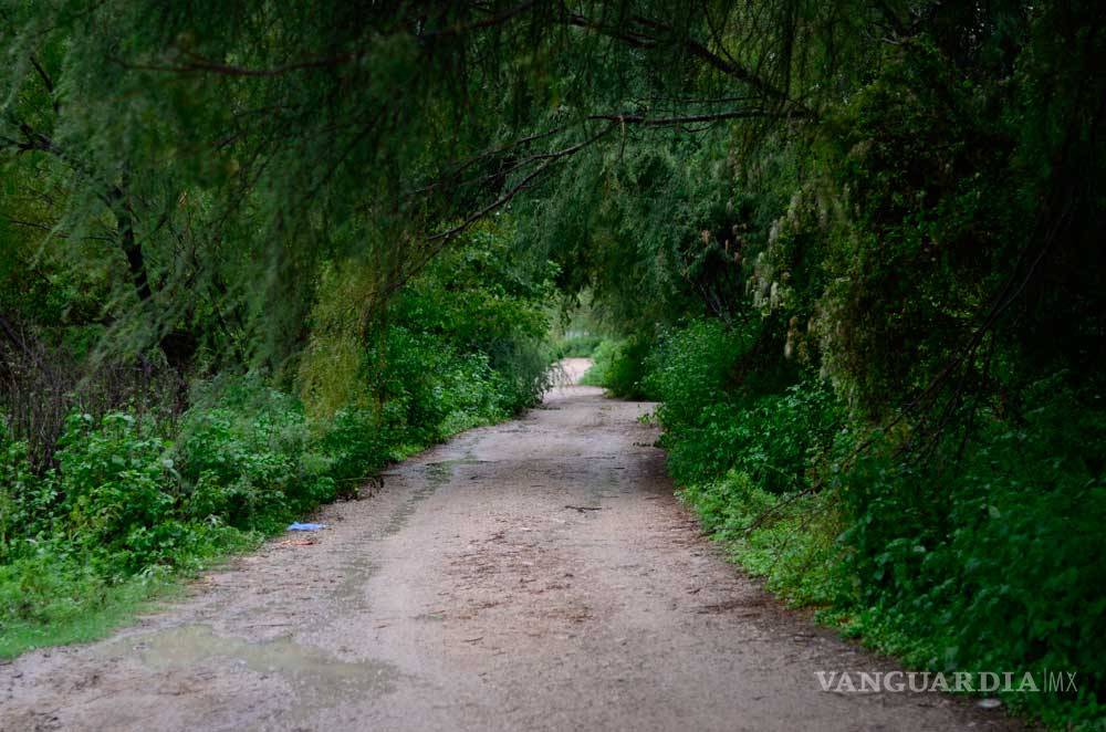 $!Cuquita, la anciana de 80 años que decapitó su sobrino