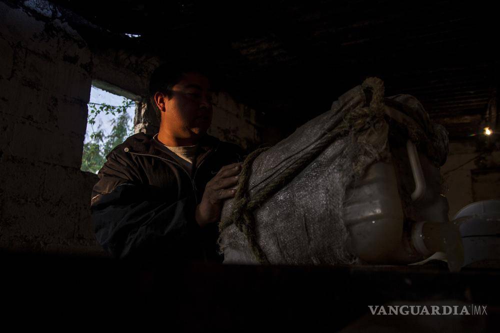 $!"Cuando empezamos no había hipsters": cómo los punks rescataron la tradición del pulque en México