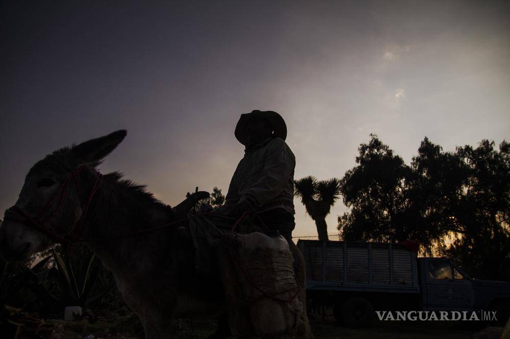 $!"Cuando empezamos no había hipsters": cómo los punks rescataron la tradición del pulque en México