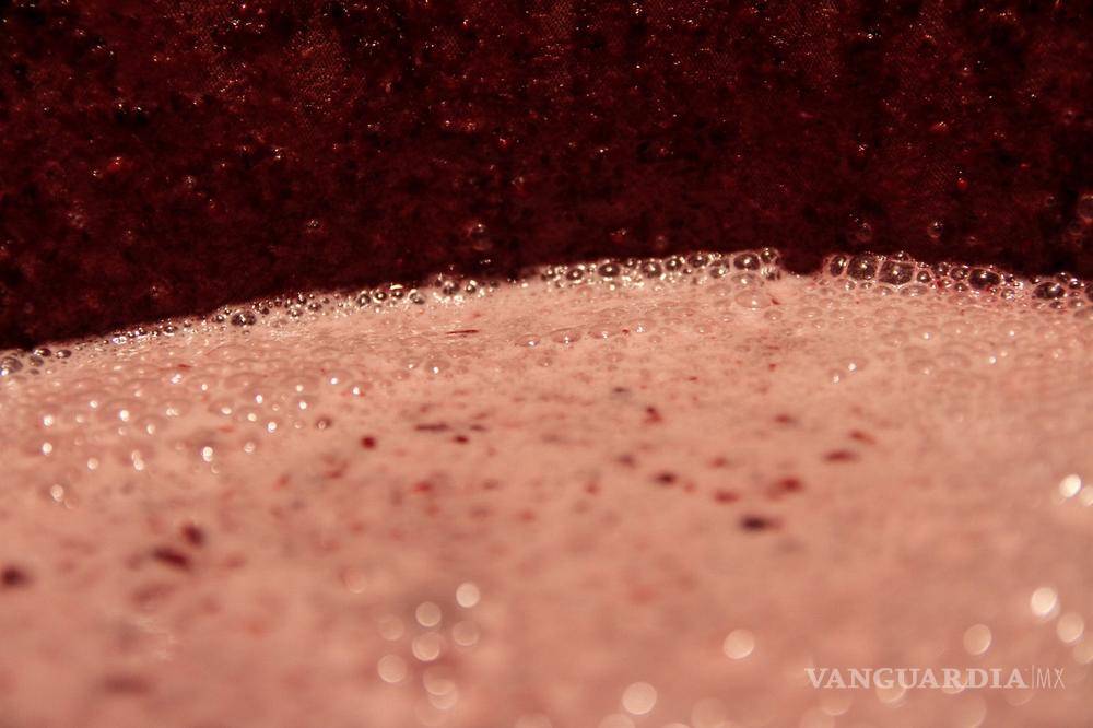 $!"Cuando empezamos no había hipsters": cómo los punks rescataron la tradición del pulque en México